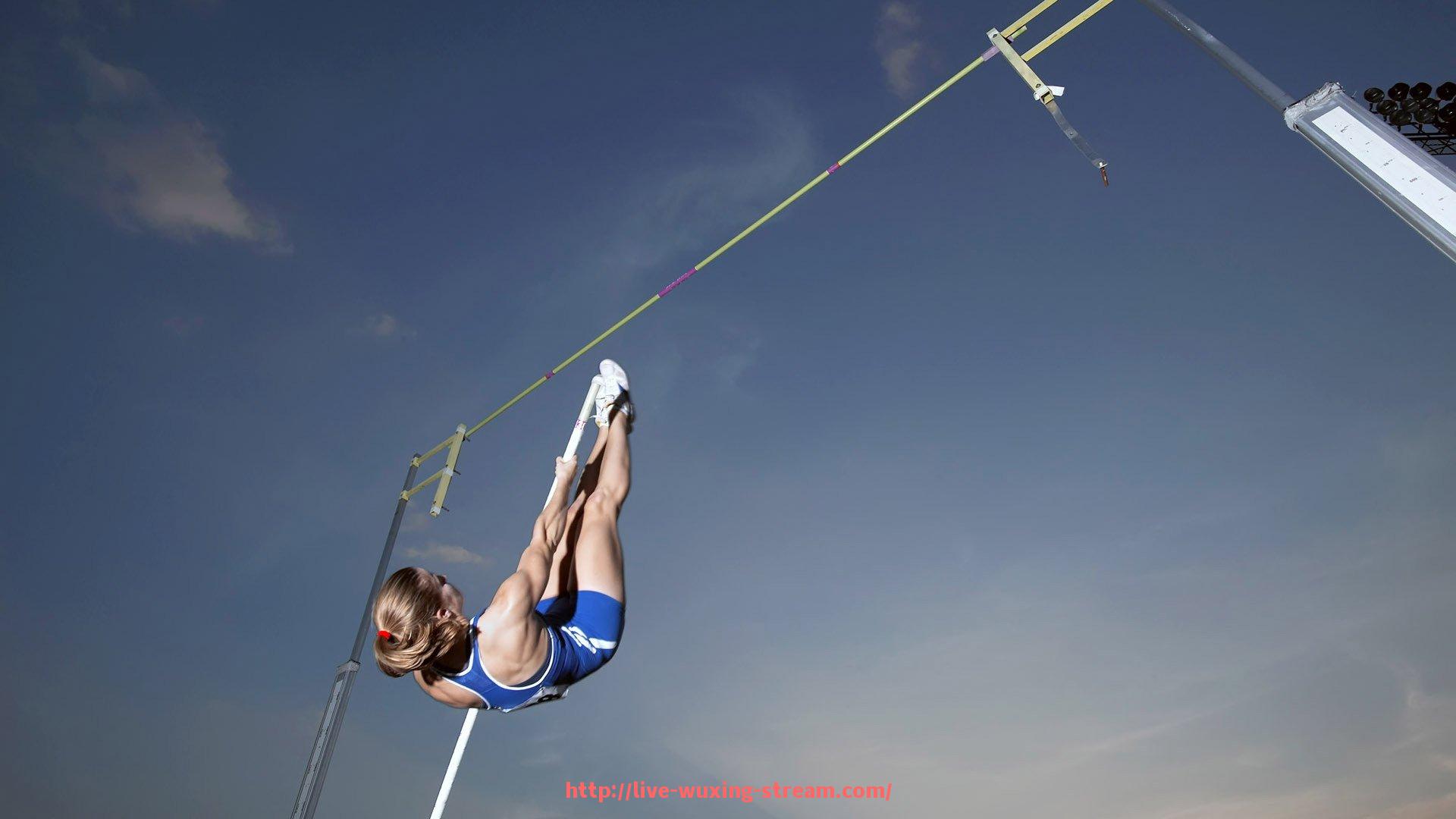 五星体育直播-欧洲赛场上德甲球队的表现及国际影响力分析